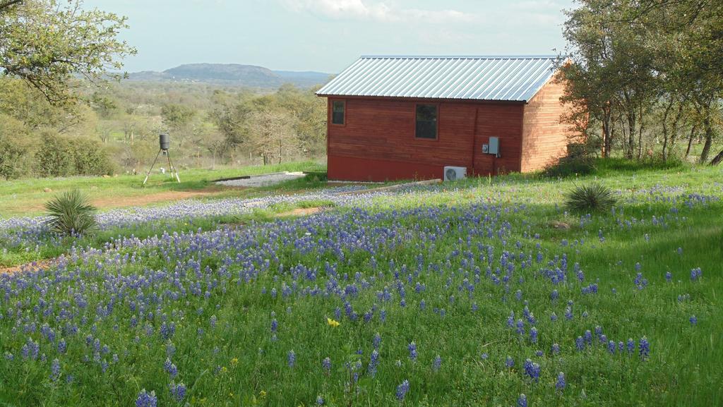 Texas T Bed And Breakfast Llano Esterno foto